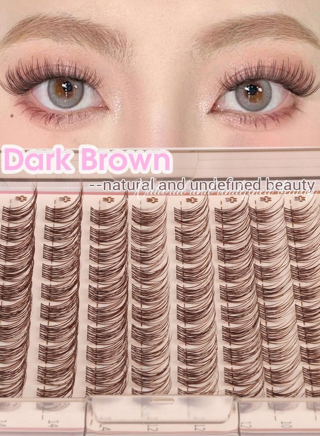 zanlufly Brown Lash Clusters Clear Band Eyelash Clusters Natural Lashes Clusters Dark Brown Lash Extension C Curly Cluster Eyelash Extensions 8-16mm DIY Individual Lashes by ZANLUFLY - Image 5